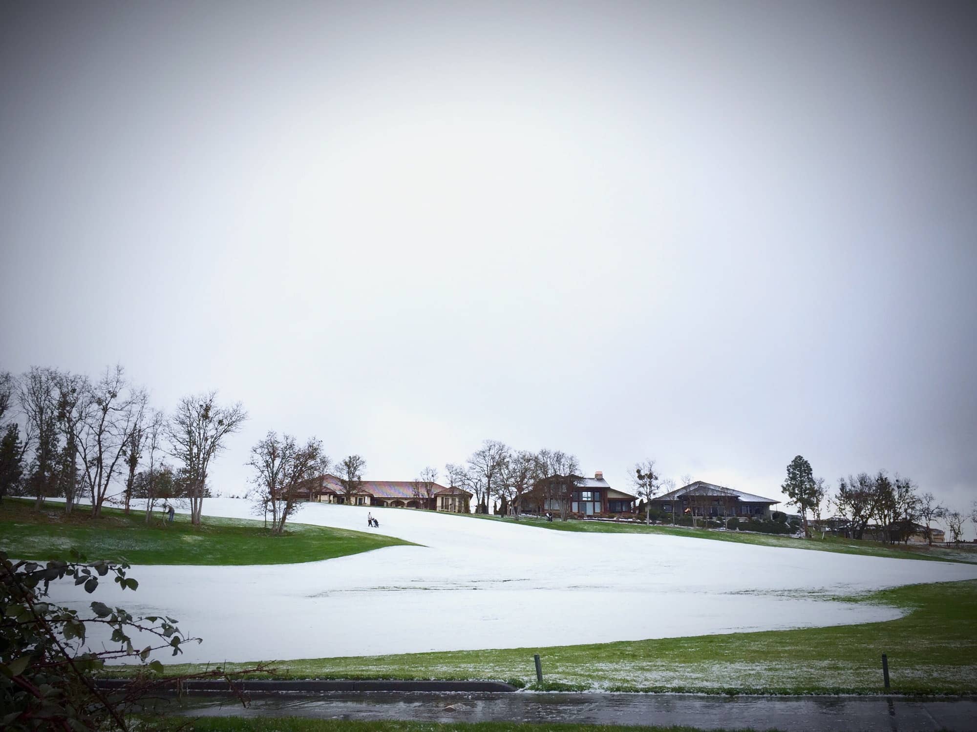 Golfing in the snow